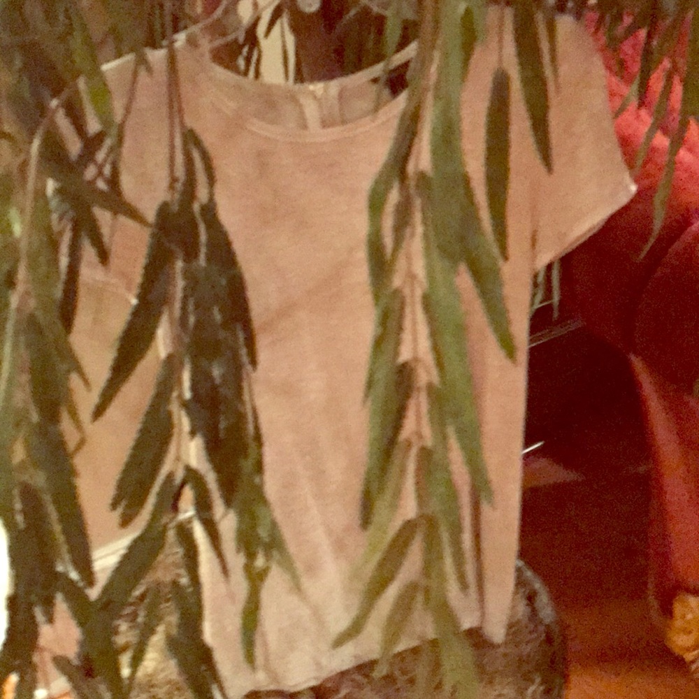 Ann Taylor t shirt